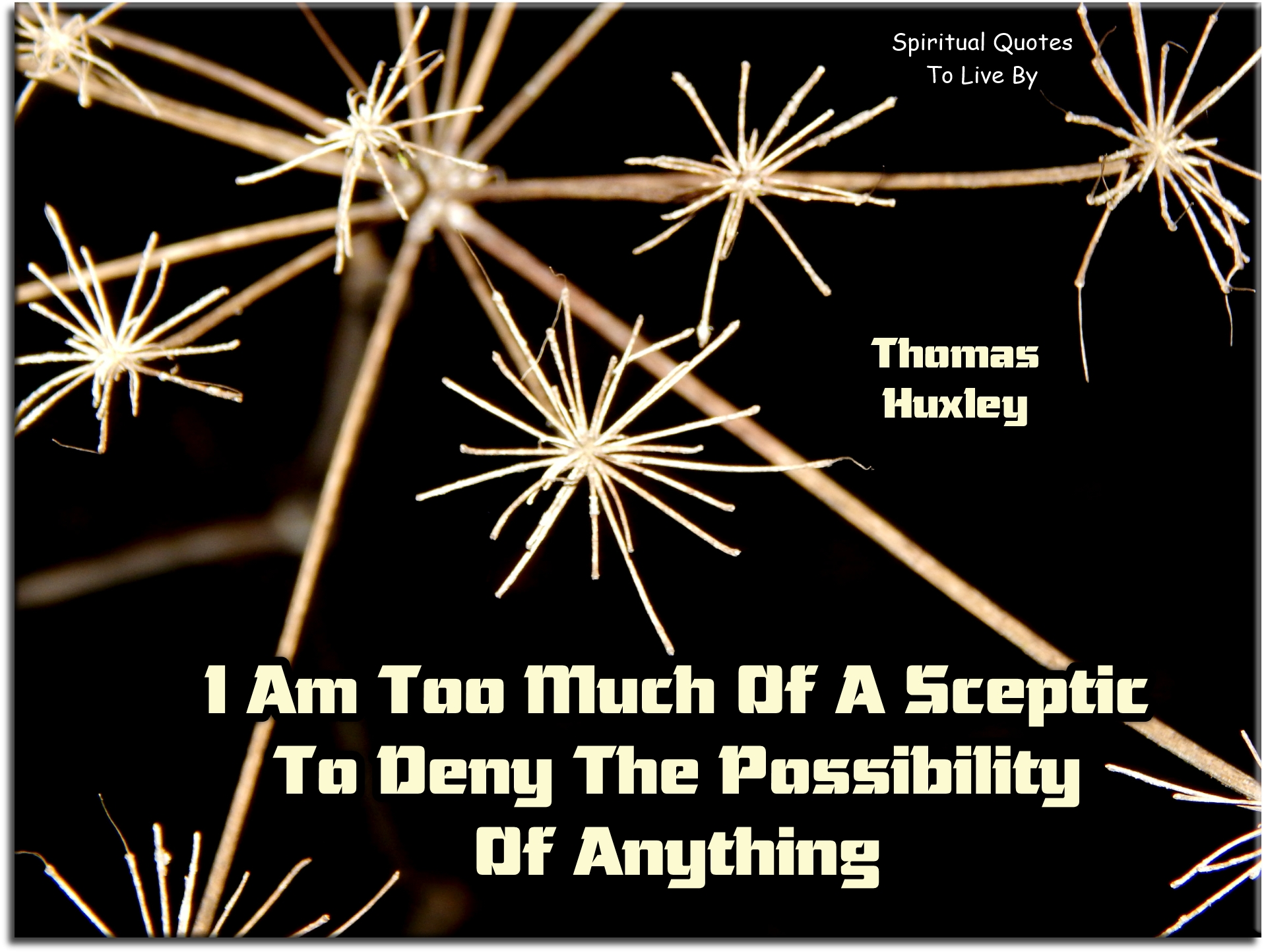Thomas Huxley quote - I am too much of a sceptic to deny the possibility of anything. - Spiritual Quotes To Live By