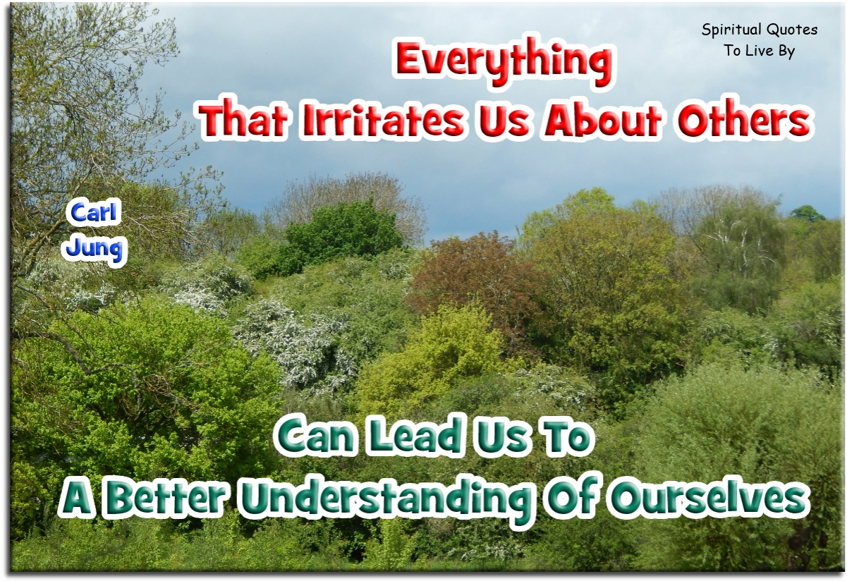 Carl Jung quote - Everything that irritates us about others can lead us to a better understanding about ourselves. - Spiritual Quotes To Live By
