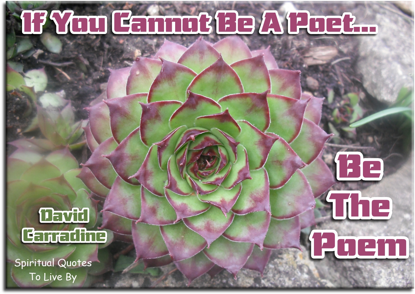David Carradine quote - If you cannot be a poet.. Be the poem. - Spiritual Quotes To Live By