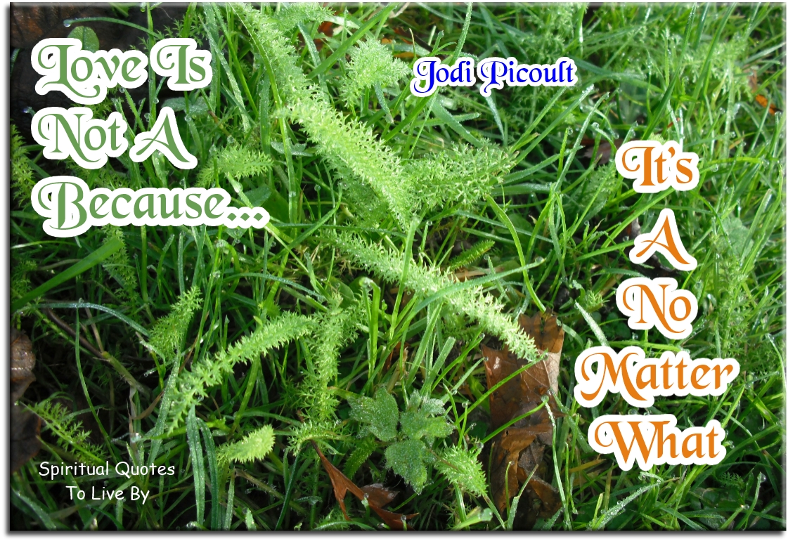 Jodi Picoult quote - Love is not a because.. It’s a no matter what. - Spiritual Quotes To Live By