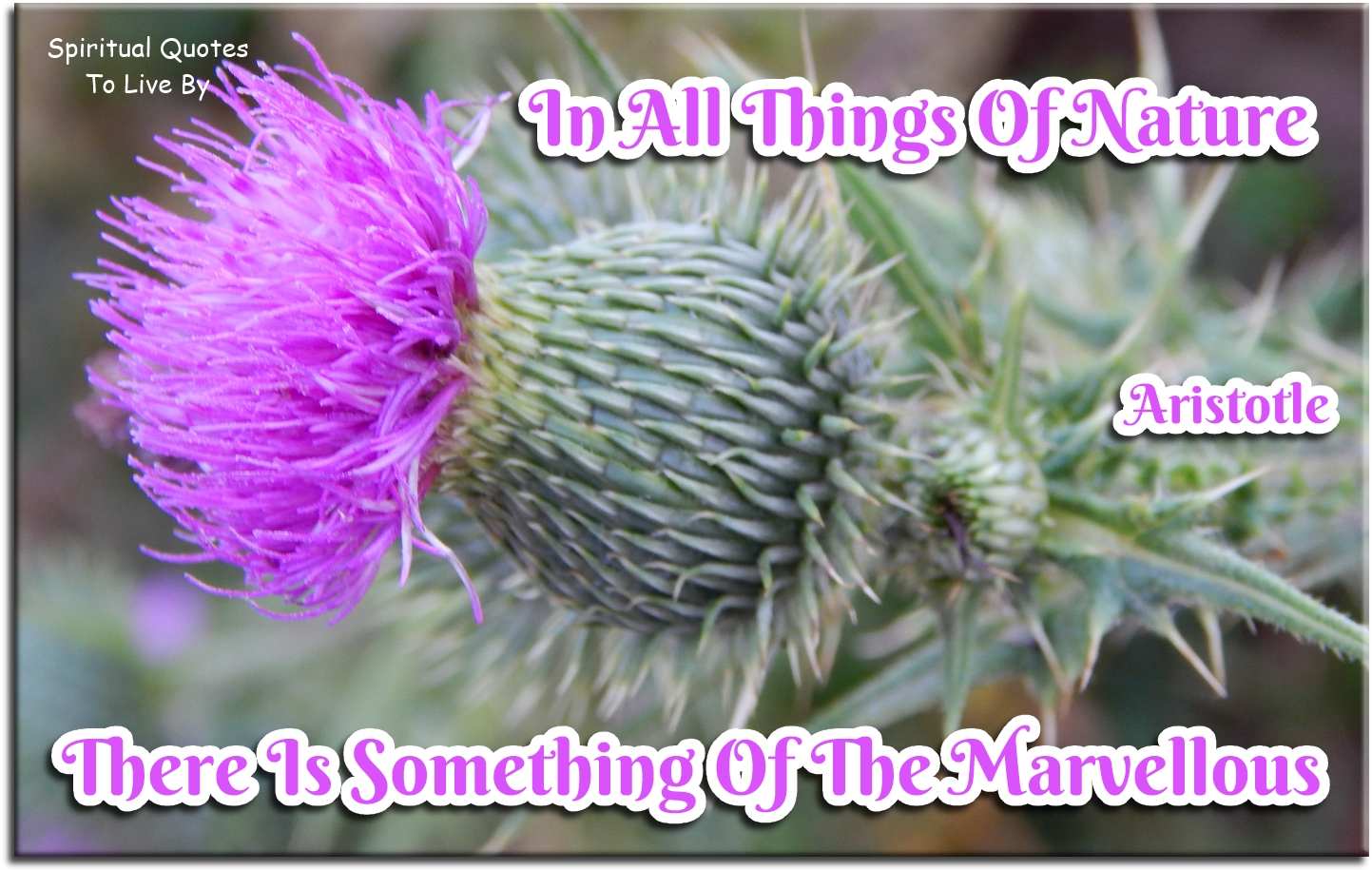 Aristotle quote - In all things of nature, there is something of the marvelous. - Spiritual Quotes To Live By