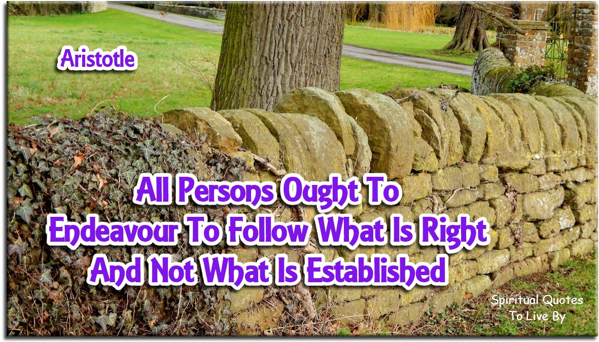 Aristotle quote - All persons ought to endeavour to follow what is right, and not what is established. - Spiritual Quotes To Live By