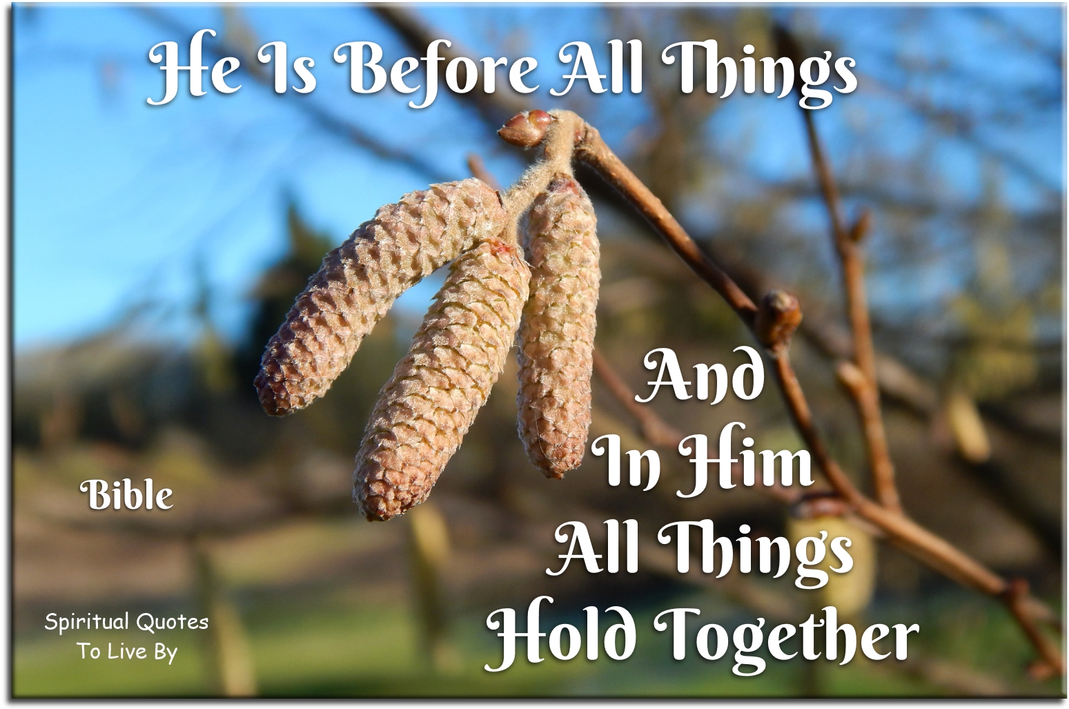 Bible quote - He is before all things and in Him all things hold together - Spiritual Quotes To Live By