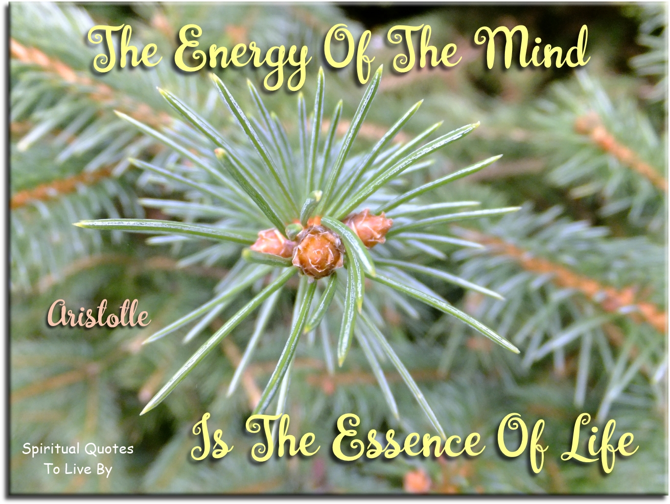 Aristotle quote - The energy of the mind is the essence of life - Spiritual Quotes To Live By