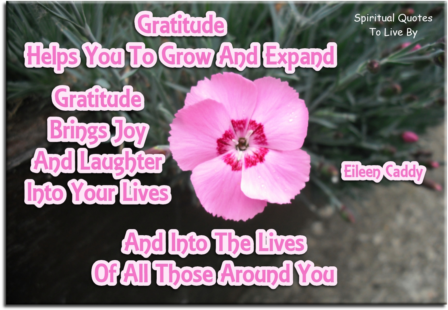 Eileen Caddy quote - Gratitude helps you to grow and expand. Gratitude brings joy and laughter into your lives and into the lives of all those around you. - Spiritual Quotes To Live By