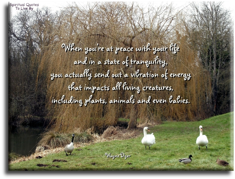Wayne Dyer quote - When you’re at peace with your life and in a state of tranquillity, you actually send out a vibration of energy that impacts all living creatures, including plants, animals and even babies. - Spiritual Quotes To Live By