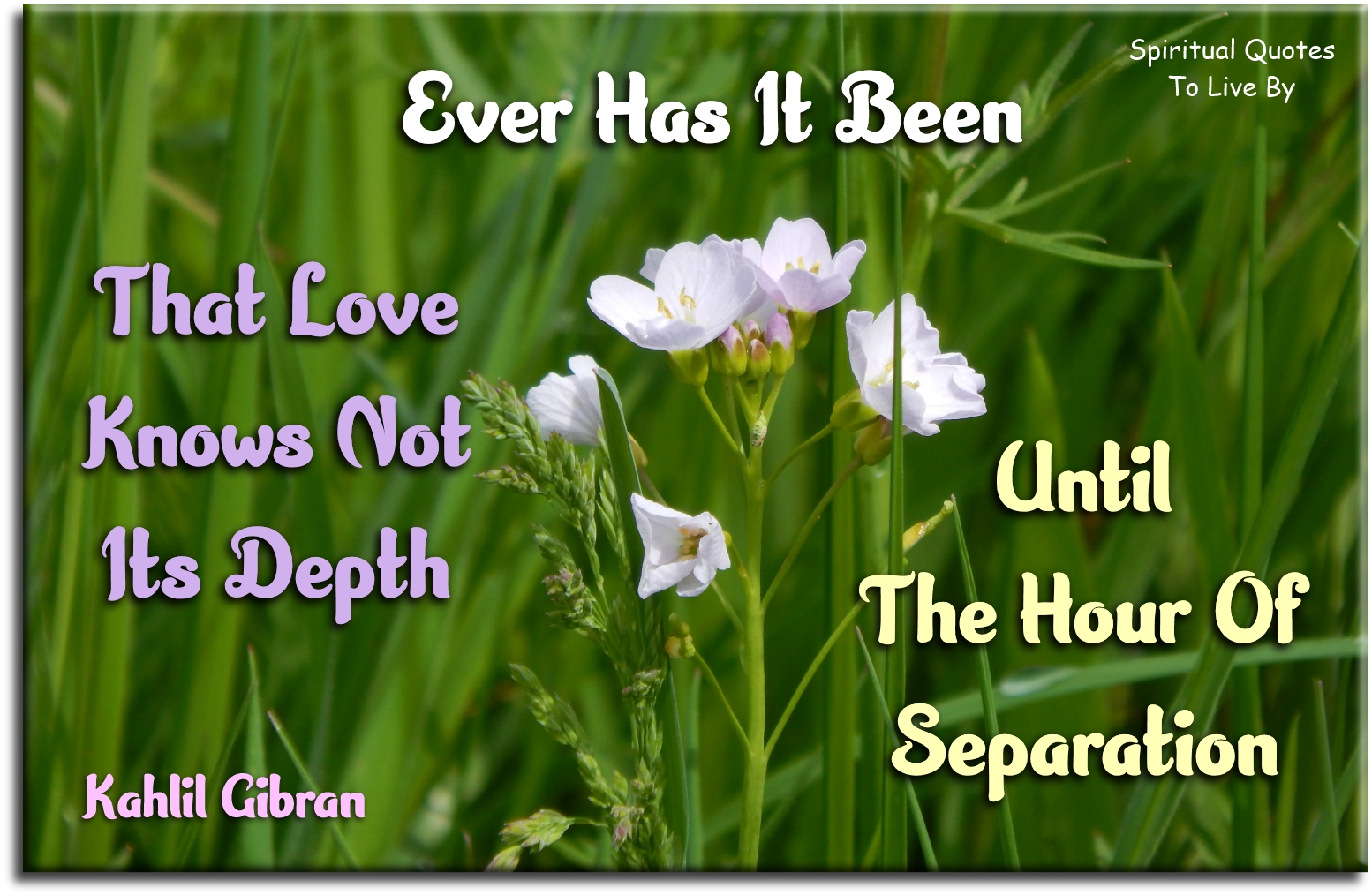 Kahlil Gibran quote - Ever has it been, that love knows not its depth until the hour of separation. - Spiritual Quotes To Live By