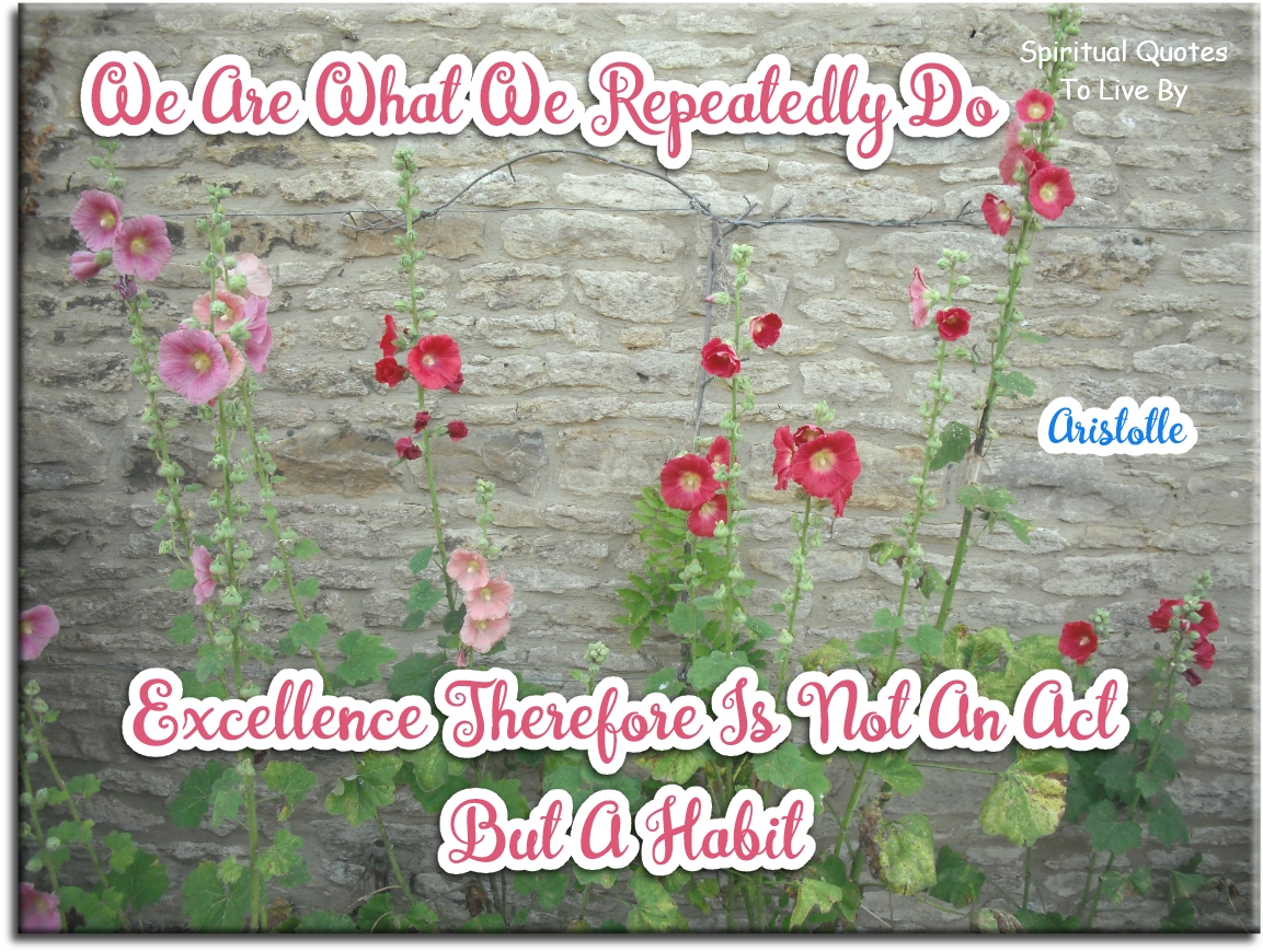 Aristotle quote - We are what we repeatedly do. Excellence then, is not an action, but a habit. - Spiritual Quotes To Live By
