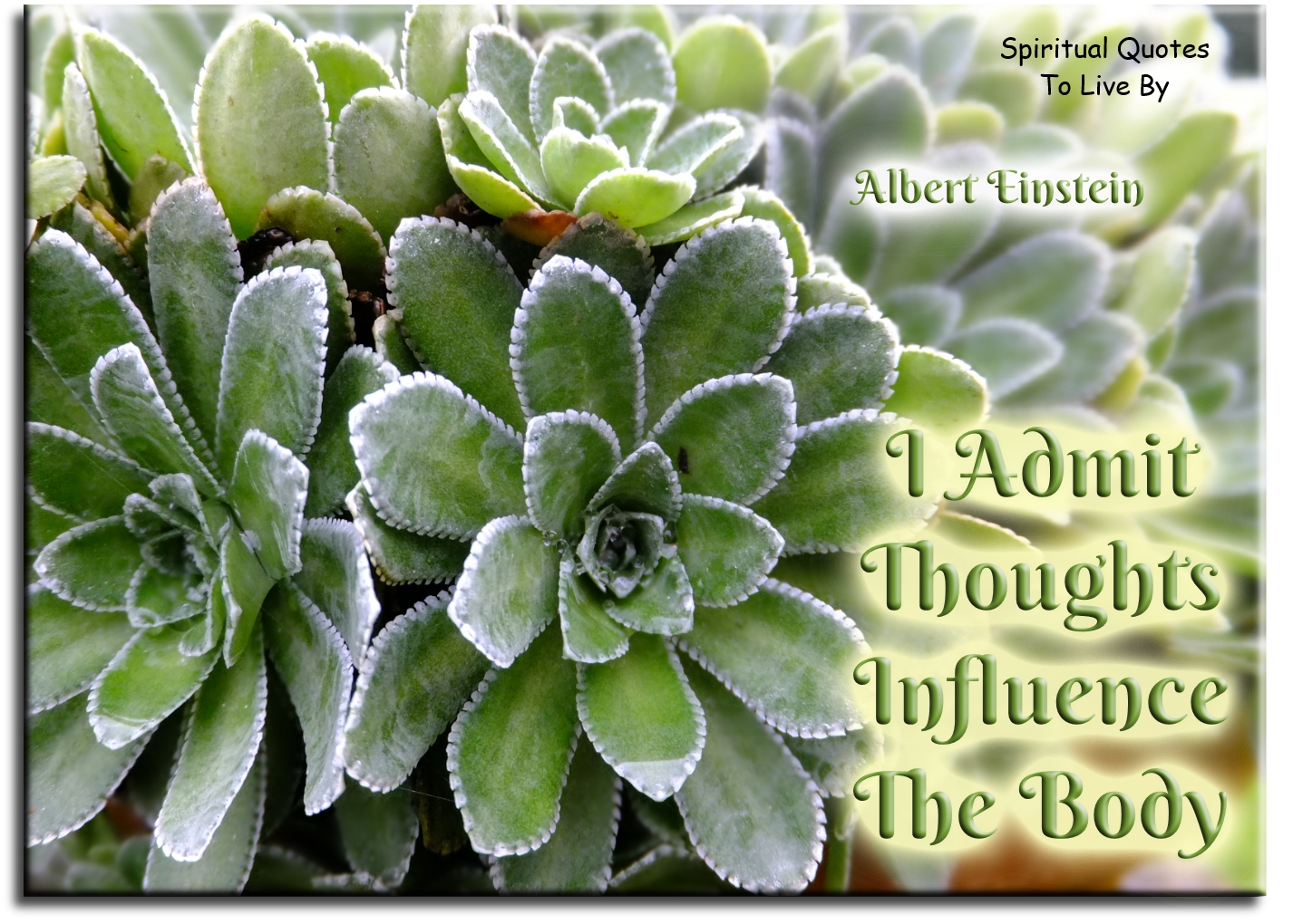 Albert Einstein quote - I admit thoughts influence the body. - Spiritual Quotes To Live By