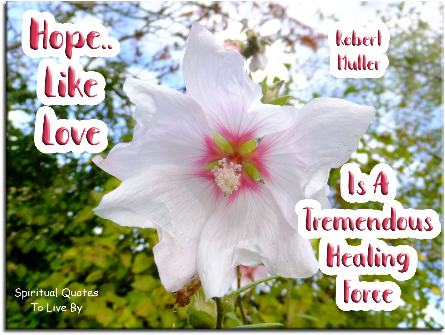 Robert Muller quote - Hope like love is a tremendous healing force - Spiritual Quotes To Live By