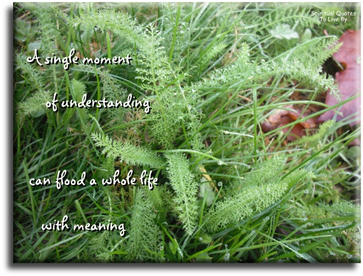 A single moment of understanding can flood a whole life with meaning - Spiritual Quotes To Live By