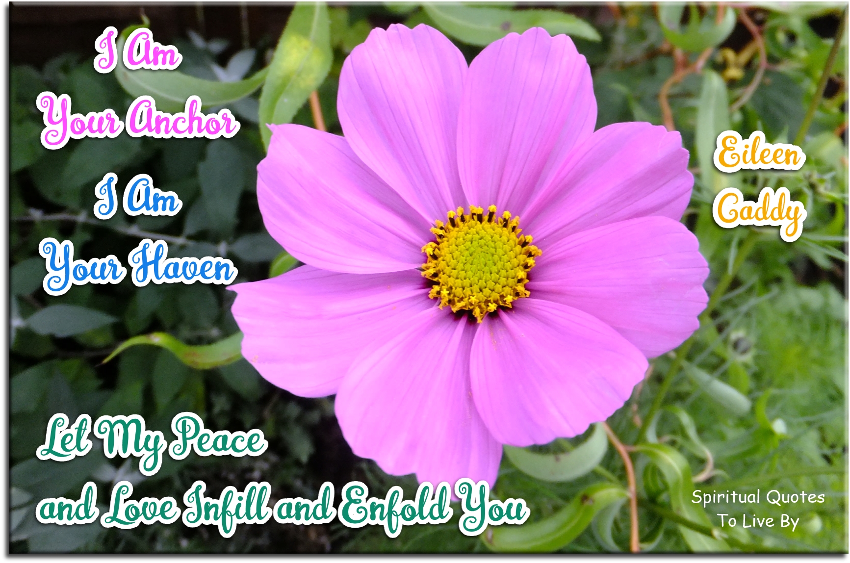 Eileen Caddy quote - I am your anchor, I am your haven... - Spiritual Quotes To Live By