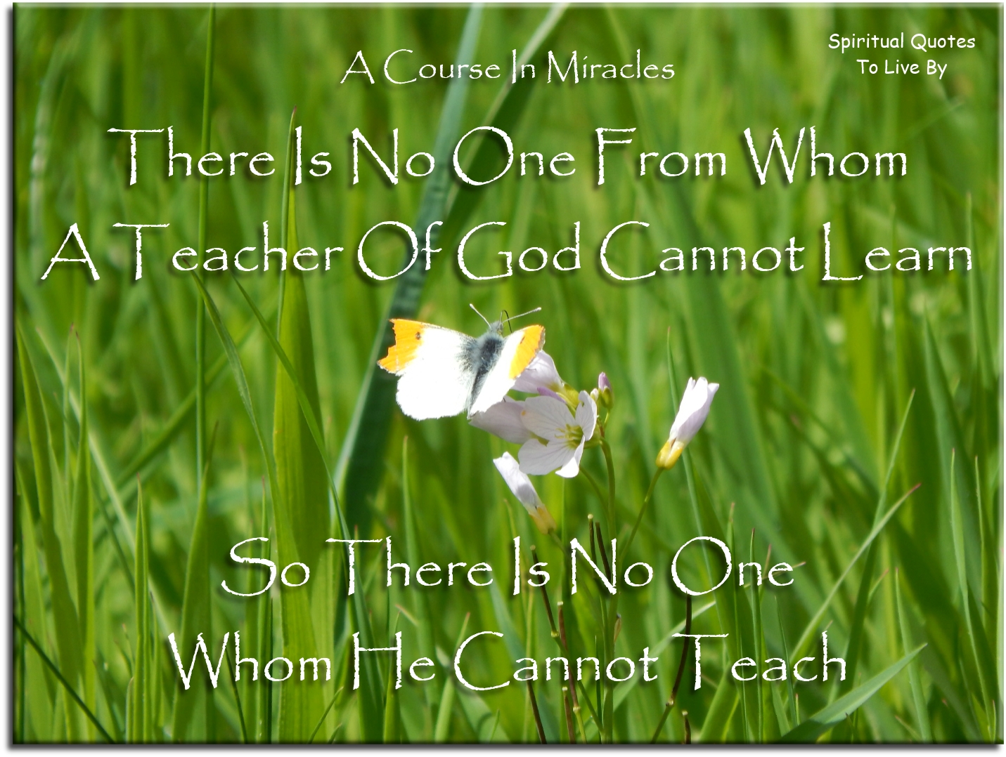 A Course In Miracles quote - There is no one from whom a teacher of God cannot learn, so there is no one whom he cannot teach. - Spiritual Quotes To Live By