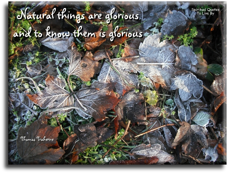 Thomas Traherne quote - Natural things are glorious, and to know them is glorious. - Spiritual Quotes To Live By