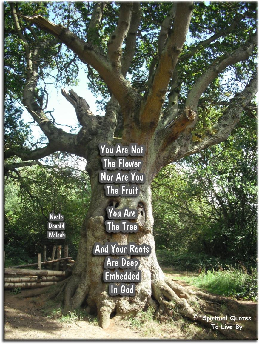 Neale Donald Walsch quote - You are not the flower, nor are you the fruit, you are the tree... - Spiritual Quotes To Live By