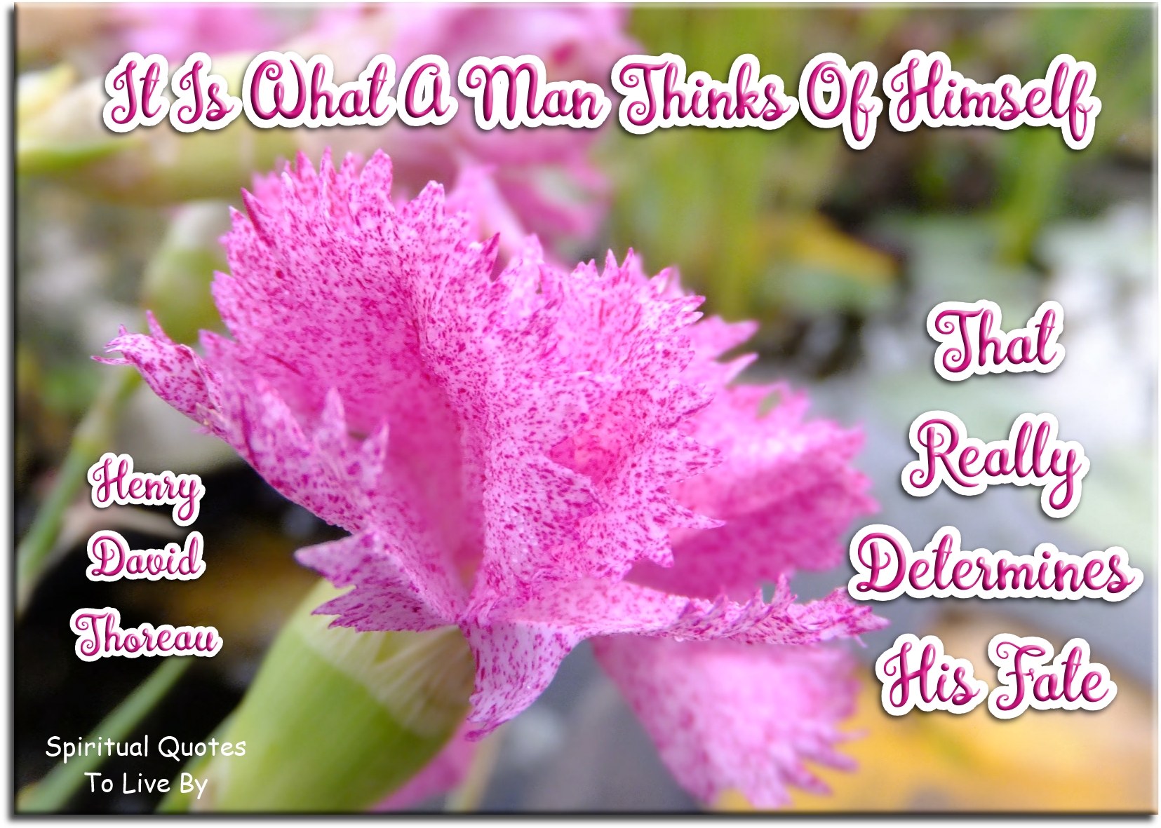 Henry David Thoreau quote - It is what a man thinks of himself that really determines his fate. - Spiritual Quotes To Live By