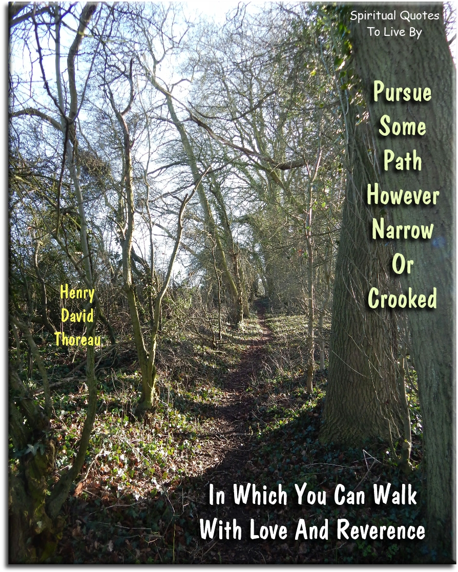 Henry David Thoreau quote - Pursue some path, however narrow or crooked, in which you can walk with love and reverence. - Spiritual Quotes To Live By