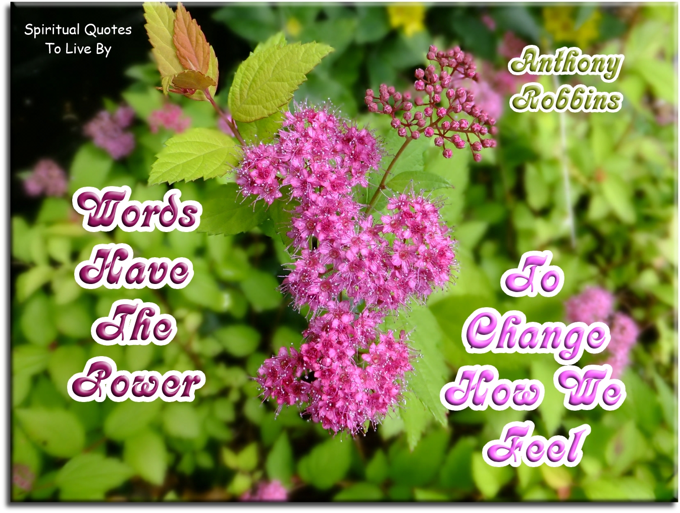 Anthony Robbins quote - Words have the power to change how we feel - Spiritual Quotes To Live By