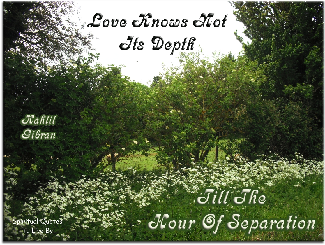 Kahlil Gibran quote - Love knows not its depth till the hour of separation. - Spiritual Quotes To Live By