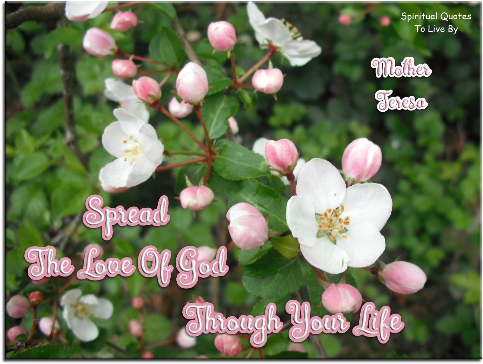 Mother Teresa quote - Spread the love of God through your life - Spiritual Quotes To Live By