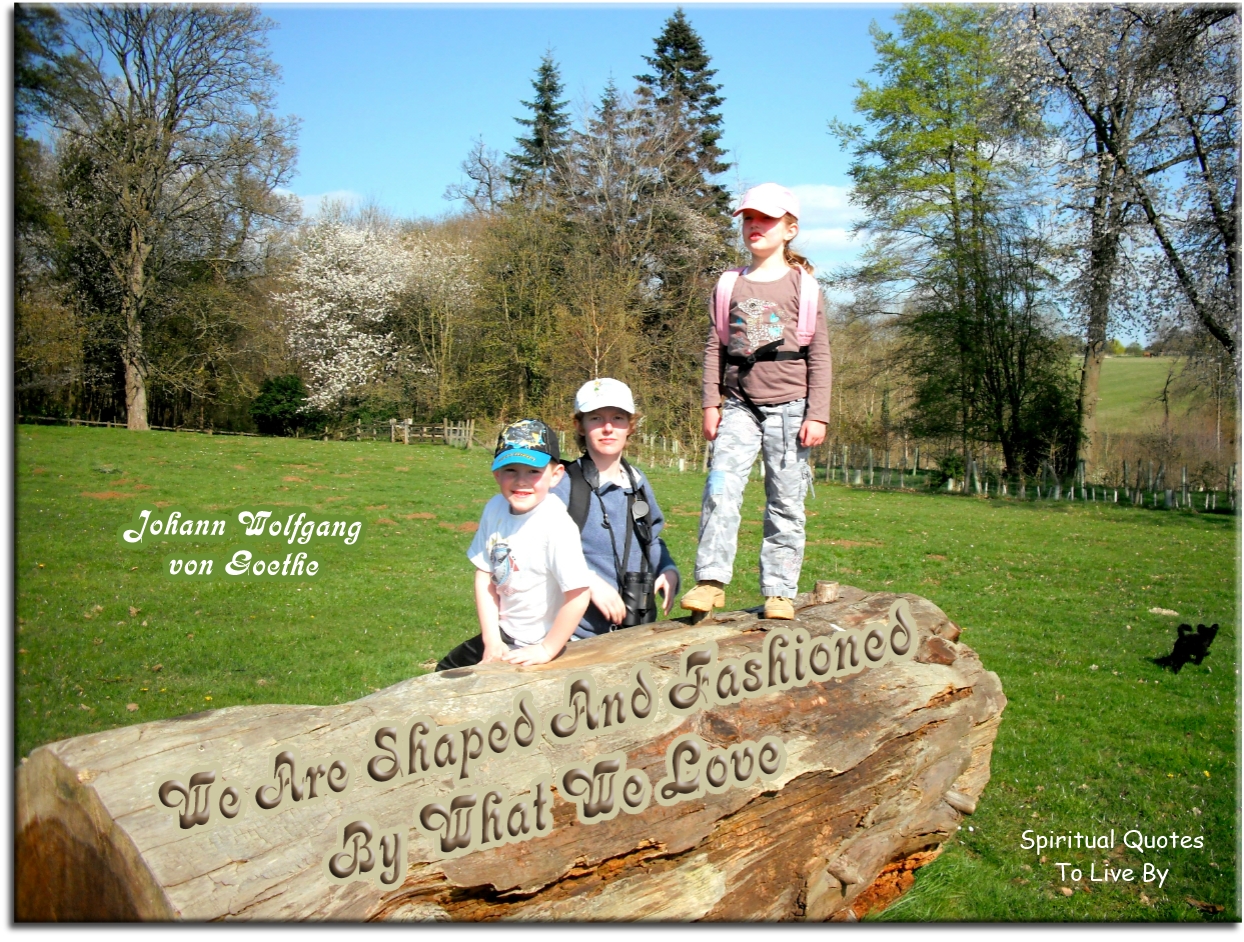 Johann Wolfgang von Goethe quote - We are shaped and fashioned by what we love. - Spiritual Quotes To Live By