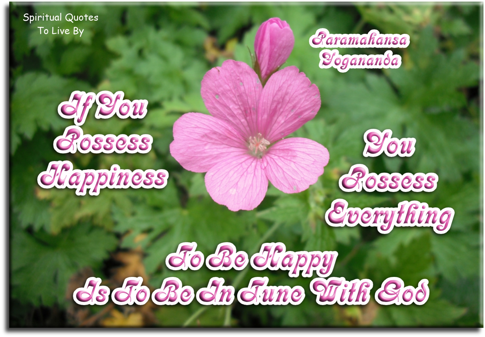 Paramahansa Yogananda quote - If you possess happiness you possess everything to be happy... - Spiritual Quotes To Live By