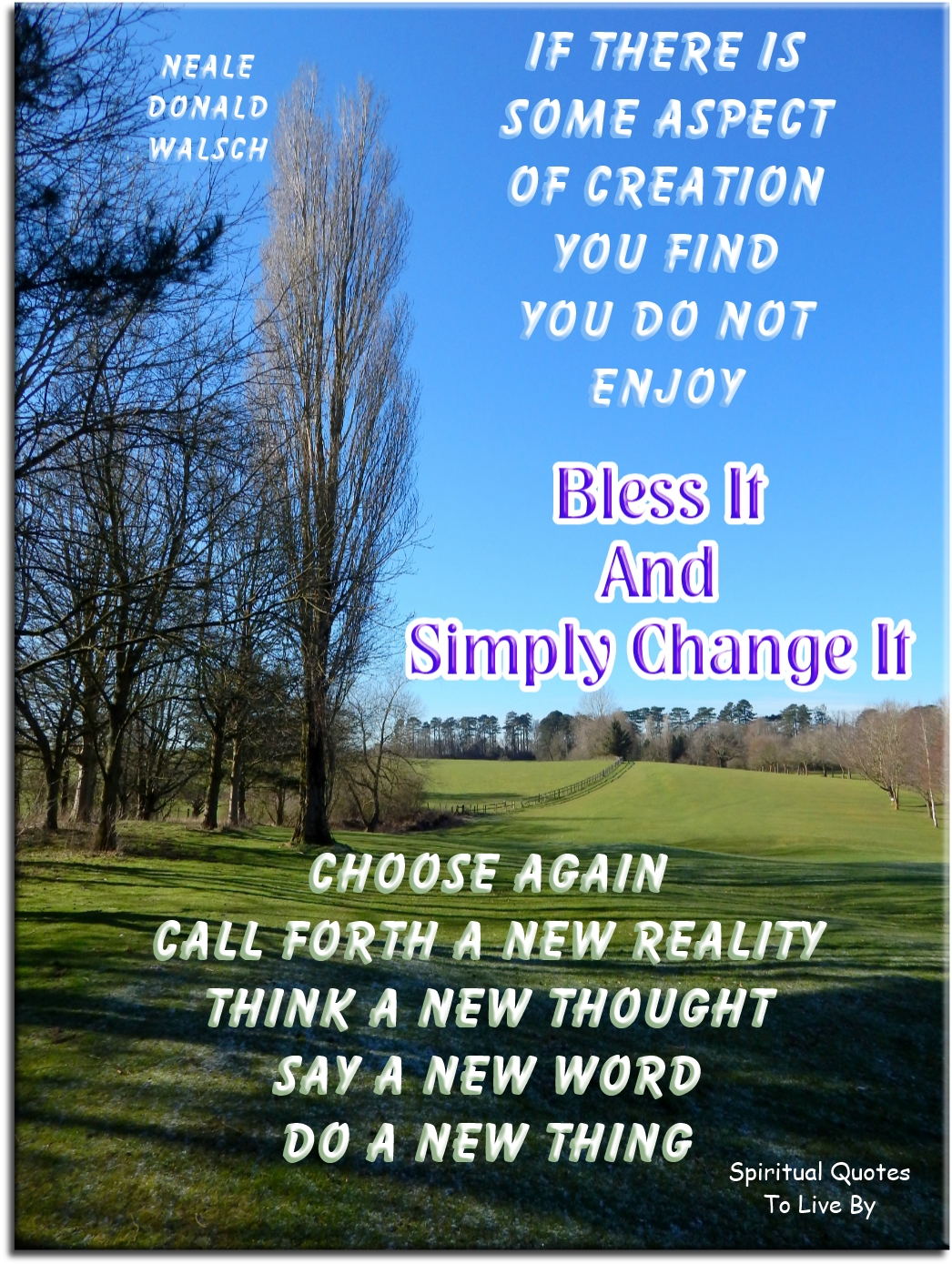 Neale Donald Walsch quote - If there is some aspect of creation you do not enjoy, bless it and simply change it. Choose again.. Call forth a new reality. Think a new thought. Say a new word. Do a new thing - Spiritual Quotes To Live By
