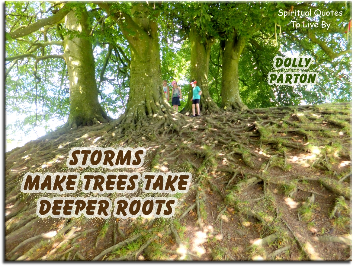 Dolly Parton quote - Storms make trees take deeper roots. - Spiritual Quotes To Live By