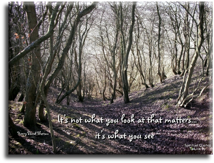 Henry David Thoreau quote - It’s not what you look at that matters.. It’s what you see. - Spiritual Quotes To Live By