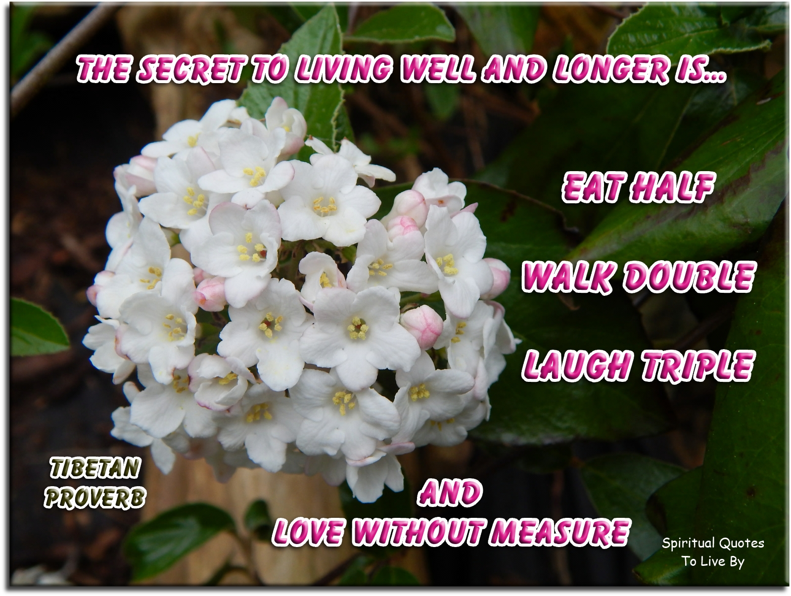 Proverb - The secret to living well and longer is… Eat half. Walk double. Laugh triple. And love without measure. - Spiritual Quotes To Live By