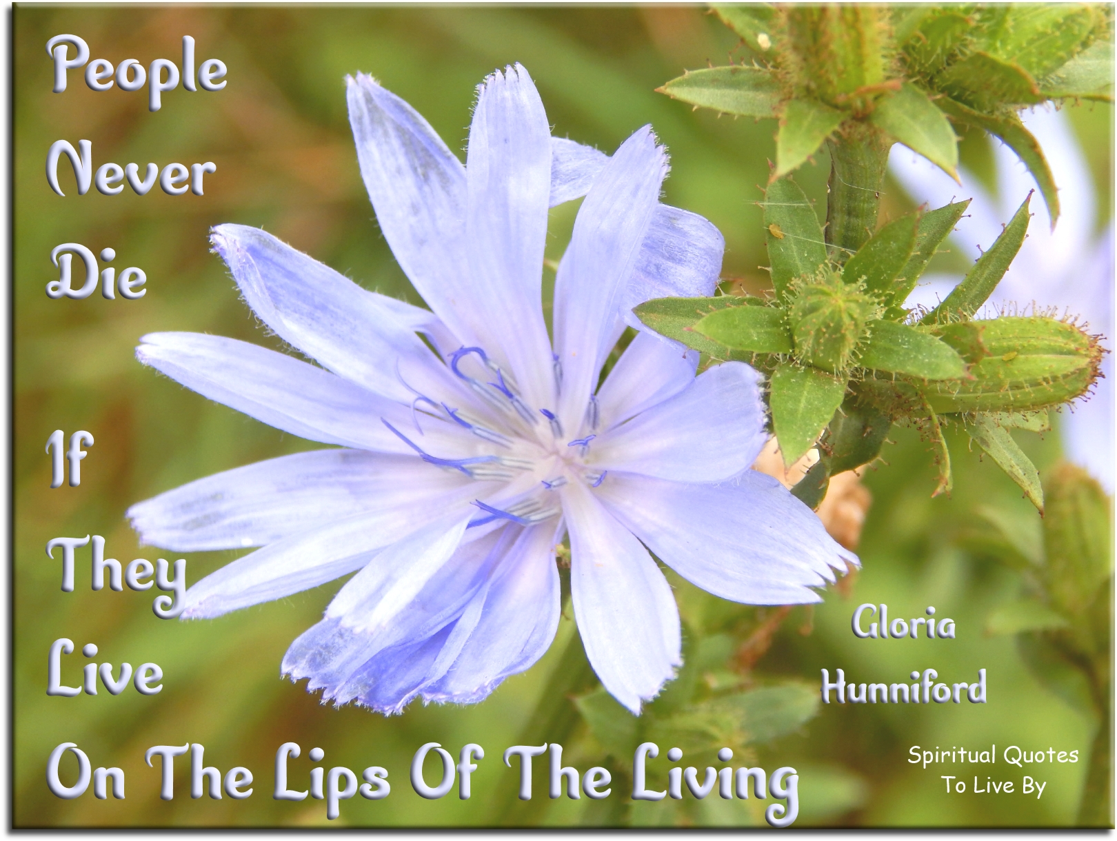 Gloria Hunniford quote - People never die if they live on the lips of the living. - Spiritual Quotes To Live By
