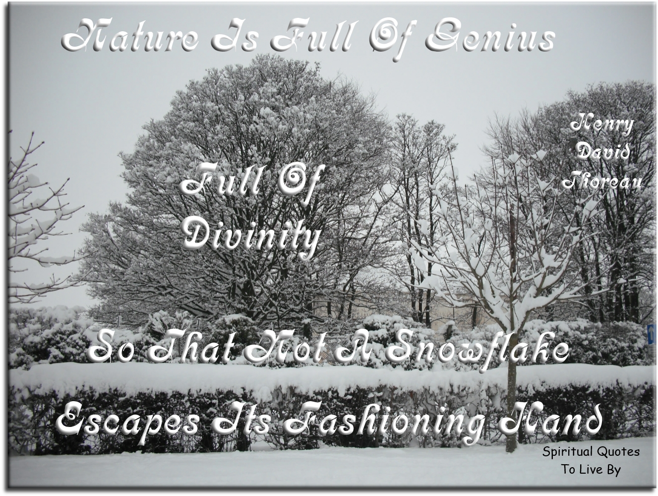 Henry David Thoreau quote - Nature is full of genius, full of divinity; so that not a snowflake escapes its fashioning hand. - Spiritual Quotes To Live By