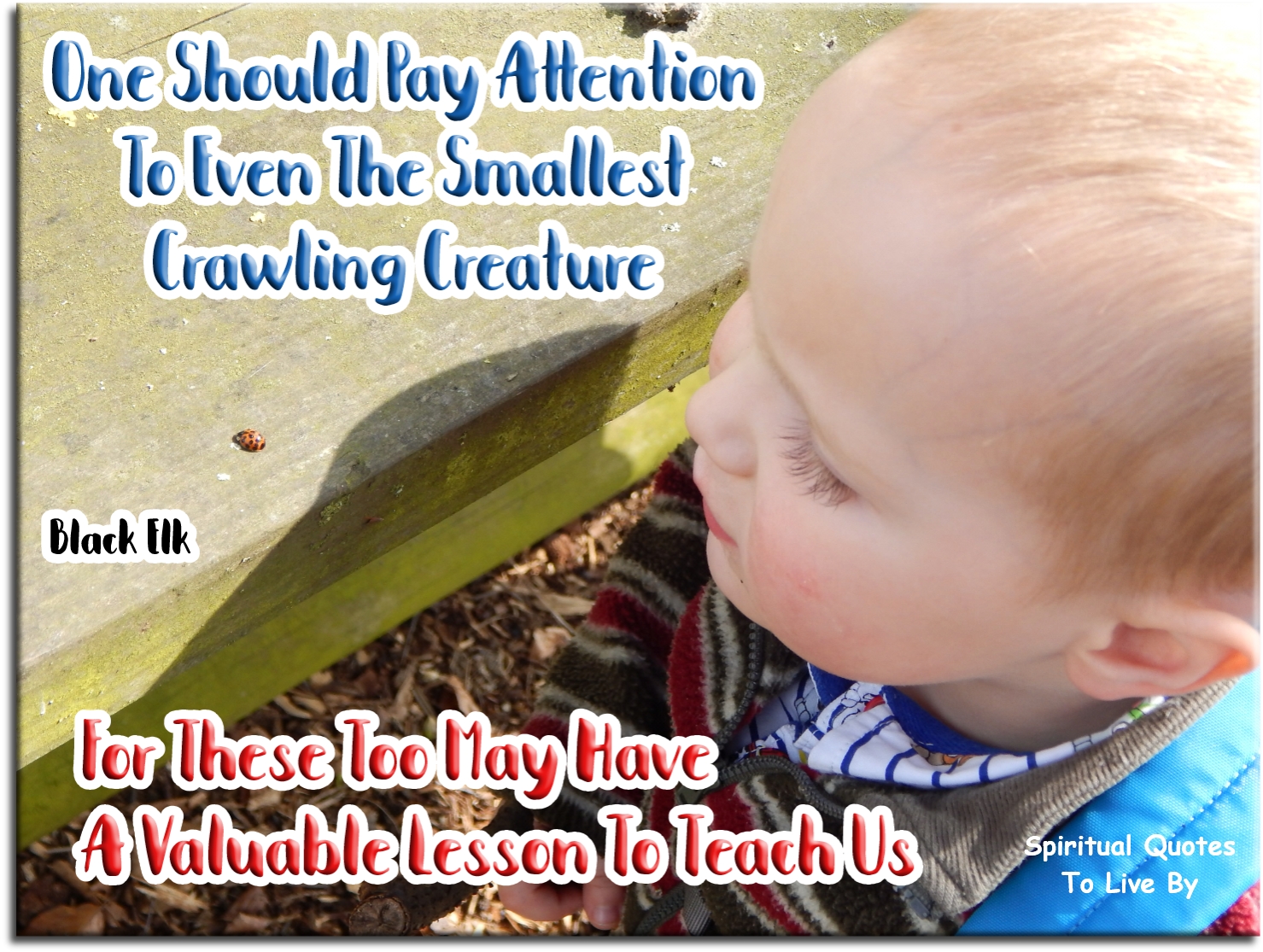 Black Elk quote - One should pay attention to even the smallest crawling creature for these too may have a valuable lesson to teach us. - Spiritual Quotes To Live By