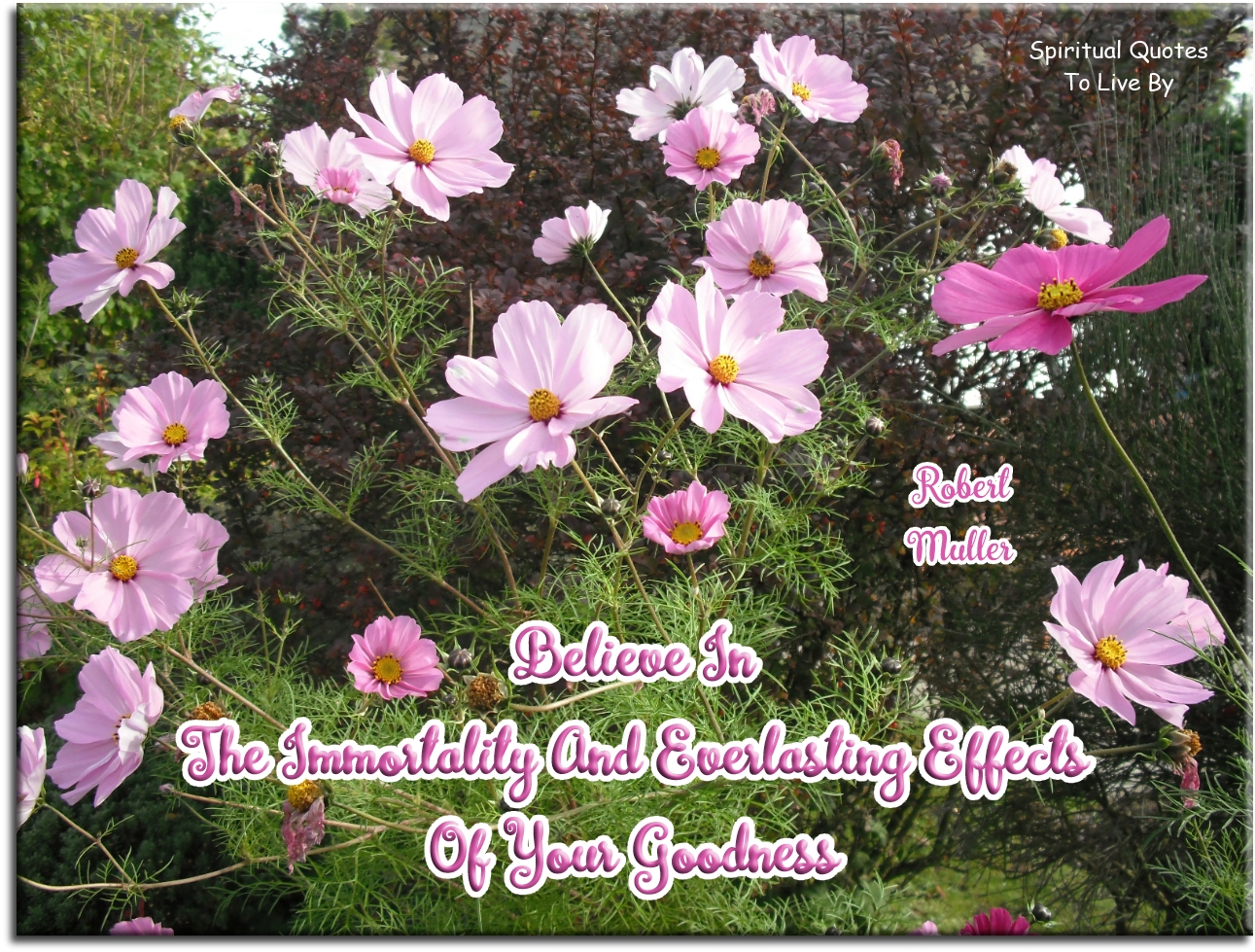 Robert Muller quote - Believe in the immortality and everlasting effects of your goodness. - Spiritual Quotes To Live By