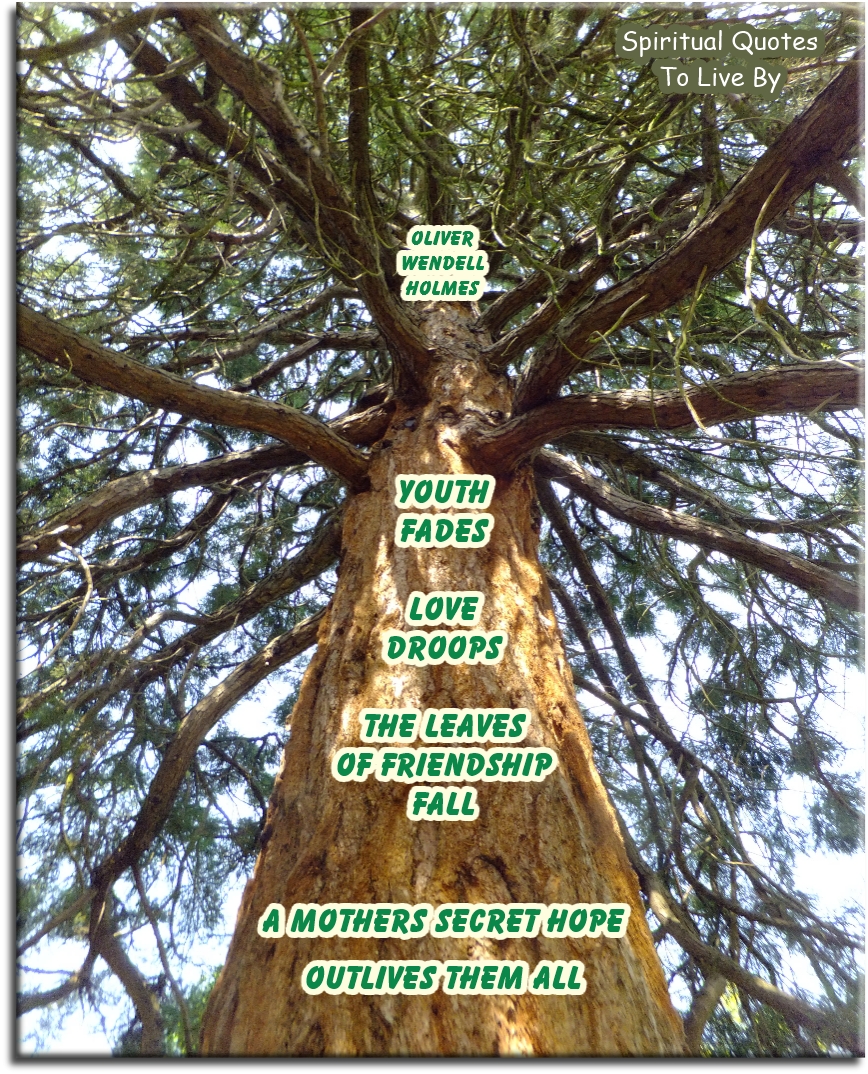 Oliver Wendell Holmes quote - Youth fades, love droops, the leaves of friendship fall; a mothers secret hope outlives them all. - Spiritual Quotes To Live By