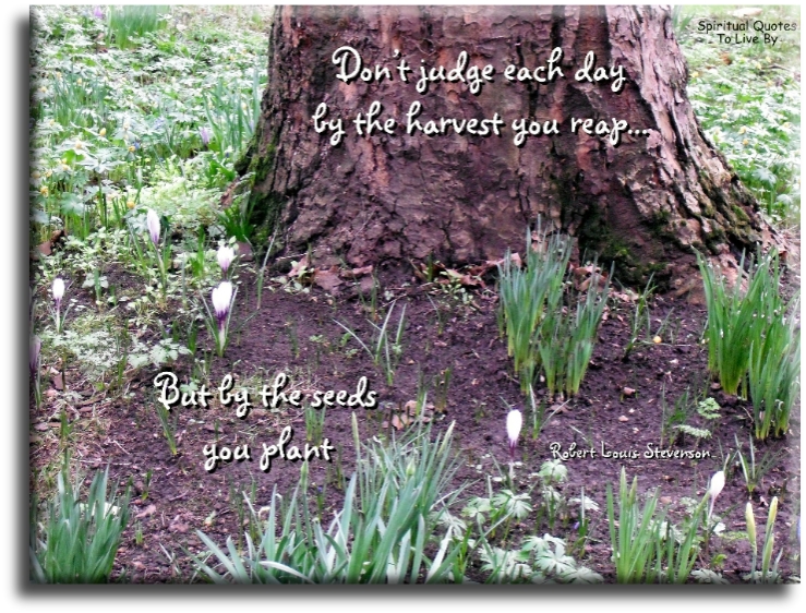 Robert Louis Stevenson quote - Don’t judge each day by the harvest you reap, but by the seeds you plant. - Spiritual Quotes To Live By