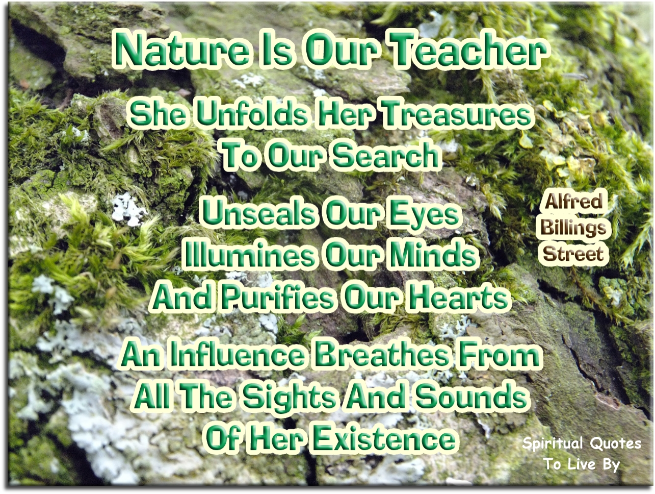 Alfred Billings Street quote - Nature is our teacher. She unfolds her treasures to our search, unseals our eyes, illumes our minds, and purifies our hearts; an influence breathes from all the sights and sounds of her existence. - Spiritual Quotes To Live By