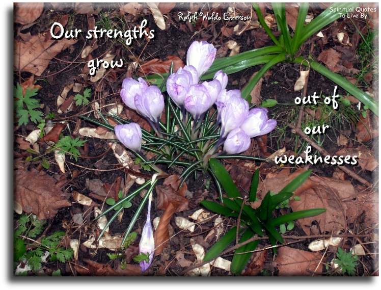 Ralph Waldo Emerson quote - Our strengths grows out of our weaknesses - Spiritual Quotes To Live By
