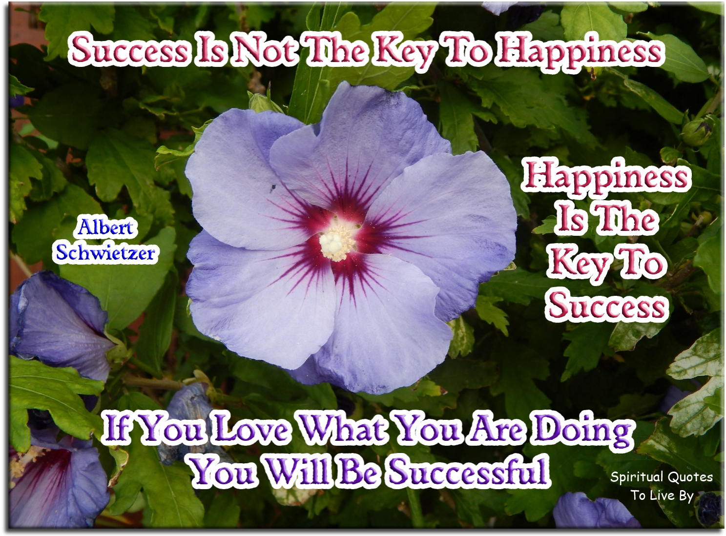 Albert Schweitzer quote - Success is not the key to happiness. Happiness is the key to success. If you love what you are doing, you will be successful. - Spiritual Quotes To Live By