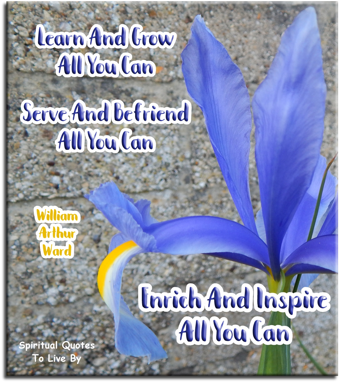 William Arthur Ward quote - Learn and grow all you can. Serve and befriend all you can. Enrich and inspire all you can. - Spiritual Quotes To Live By