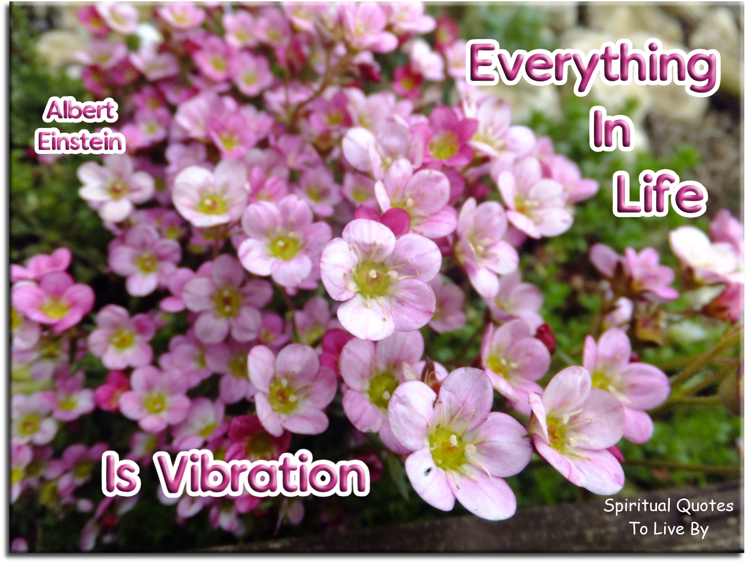 Albert Einstein quote - Everything in life is vibration - Spiritual Quotes To Live By