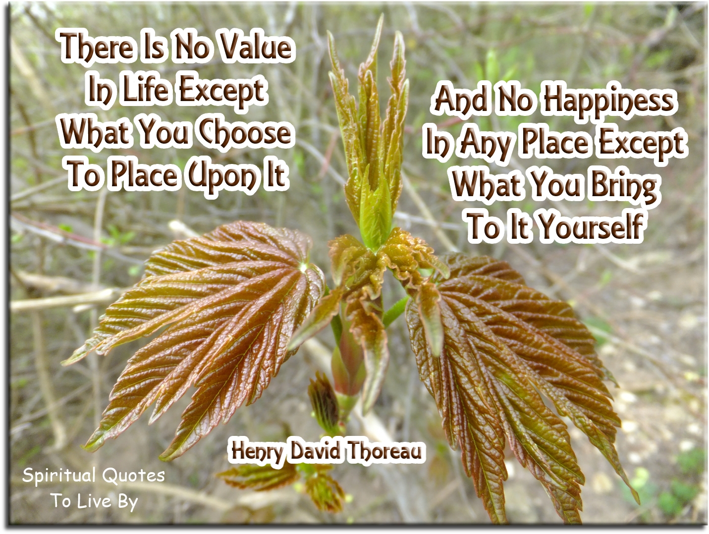 Henry David Thoreau quote - There is no value in life except what you choose to place upon it, and no happiness in any place except what you bring to it yourself - Spiritual Quotes To Live By