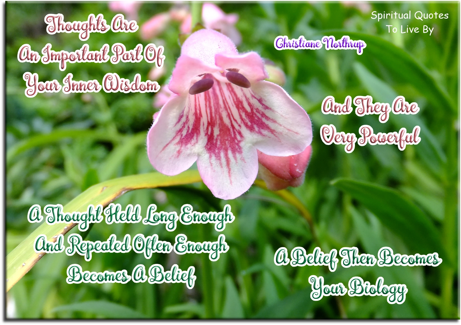 Christiane Northrup quote - Thoughts are an important part of your inner wisdom and they are very powerful. A thought held long enough and repeated often enough becomes a belief. A belief then becomes your biology. - Spiritual Quotes To Live By