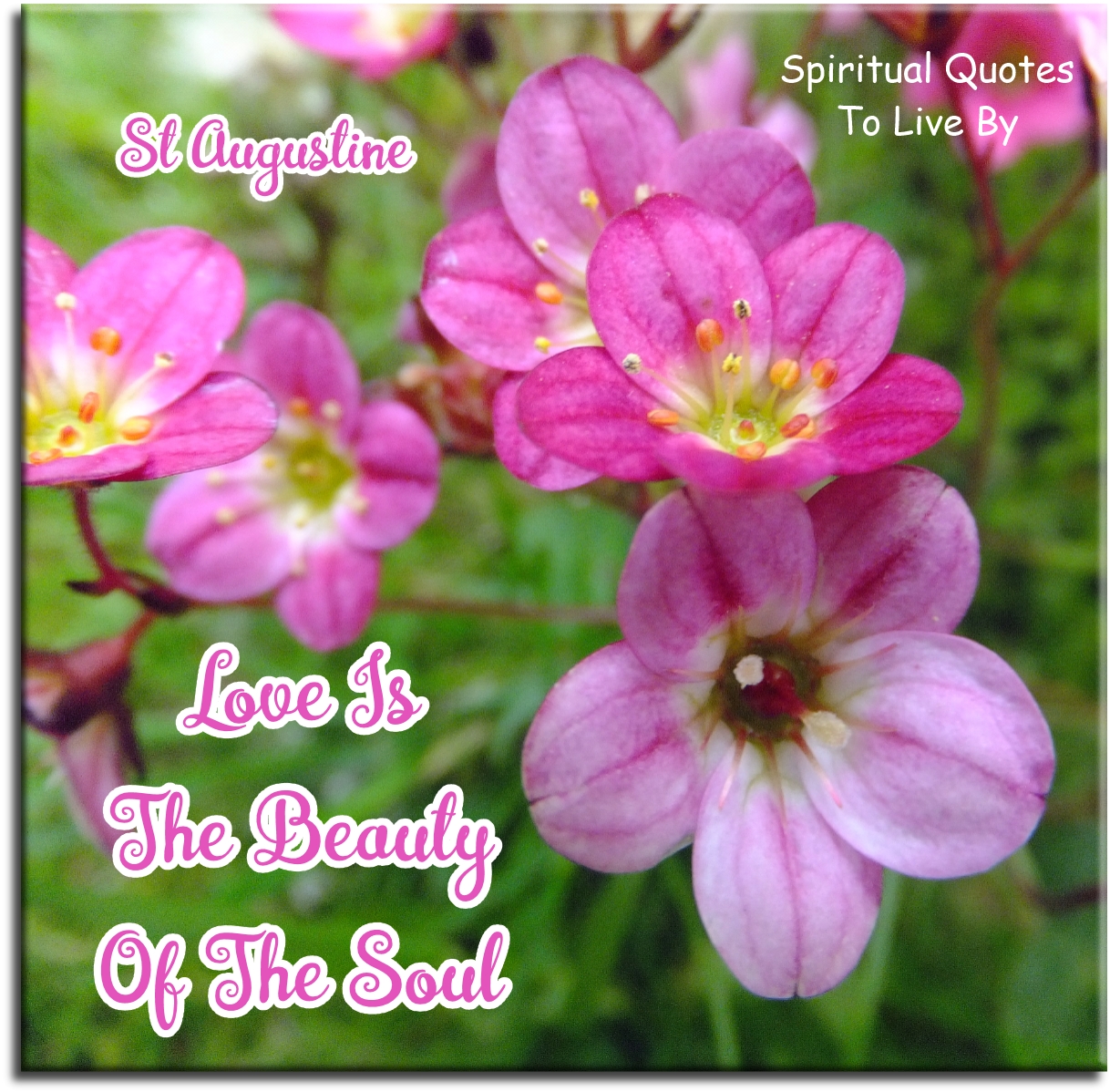 St Augustine quote - Love is the beauty of the Soul - Spiritual Quotes To Live By