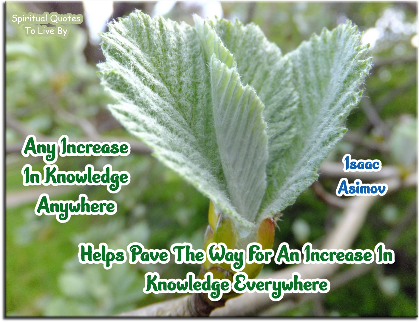 Isaac Asimov quote - Any increase in knowledge anywhere helps pave the way for an increase in knowledge everywhere. - Spiritual Quotes To Live By