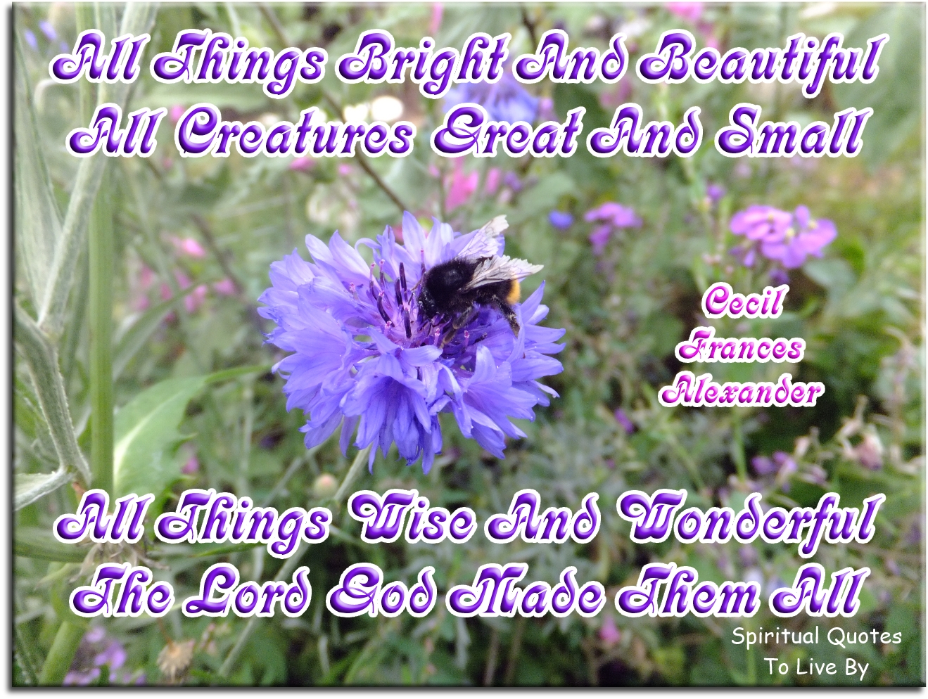 Cecil Frances Alexander quote - All things bright and beautiful,
all creatures great and small.
All things wise and wonderful,
the Lord God made them all. - Spiritual Quotes To Live By