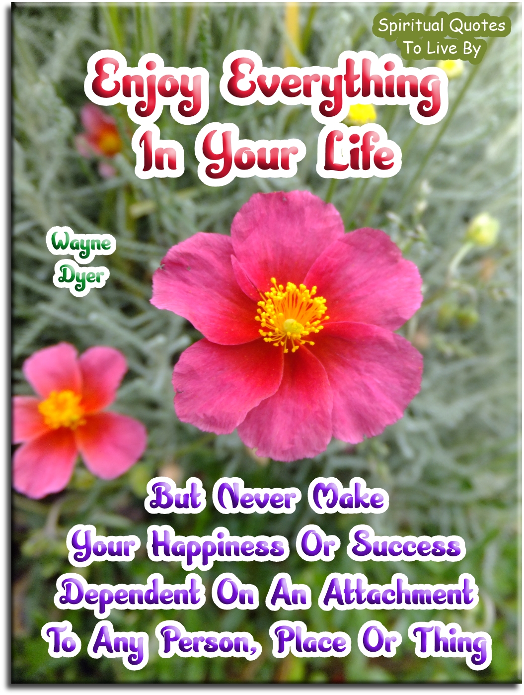 Wayne Dyer quote - Enjoy everything in your life, but never make your happiness or success dependent on an attachment to any person, place or thing. - Spiritual Quotes To Live By