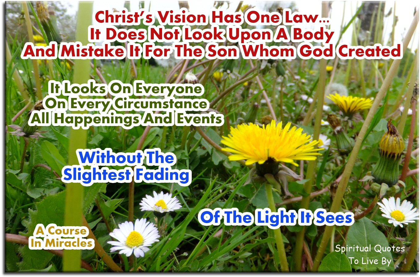A Course In Miracles quote -Christ’s vision has one law. It does not look upon a body and mistake it for the Son whom God created. It looks on everyone, on every circumstance, all happenings and events, without the slightest fading of the light it sees. - Spiritual Quotes To Live By A Course In Miracles quote -Christ’s vision has one law. It does not look upon a body and mistake it for the Son whom God created. It looks on everyone, on every circumstance, all happenings and events, without the slightest fading of the light it sees. - Spiritual Quotes To Live By