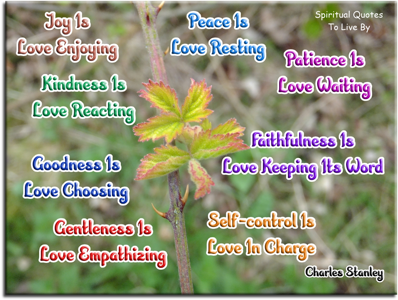 Charles Stanley quote - Joy is love enjoying. Peace is love resting. Patience is love waiting. Kindness is love reacting. Goodness is love choosing. Faithfulness is love keeping its word. Gentleness is love empathizing. Self-control is love in charge. - Spiritual Quotes To Live By