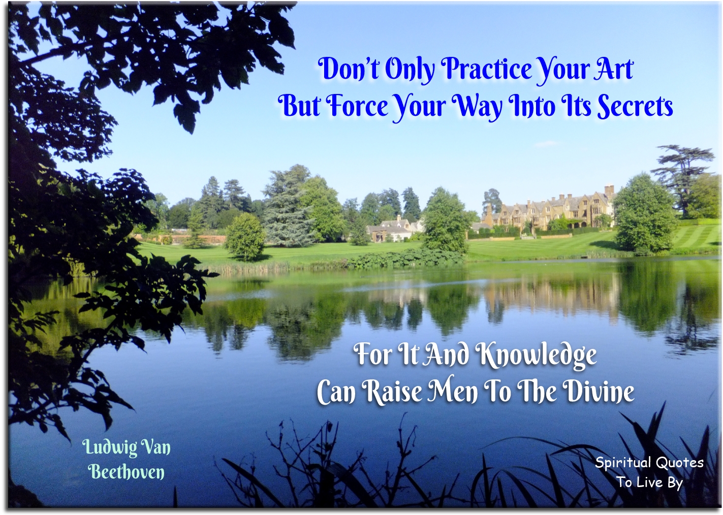Ludwig van Beethoven quote - Don’t only practice your art, but force your way into its secrets. For it and knowledge can raise men to the Divine. - Spiritual Quotes To Live By
